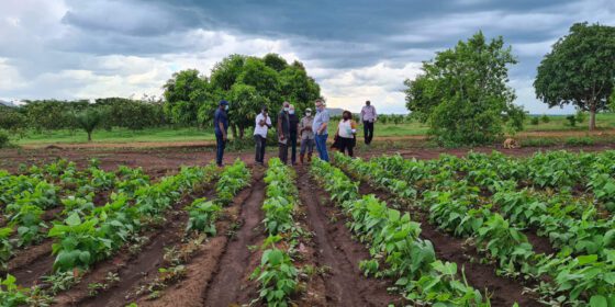 A AGRICULTURA RENTÁVEL, FAZ-SE COM CIÊNCIA