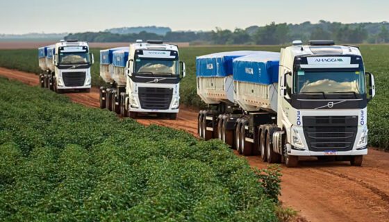 “RENOVANDO ESTRADAS, TRANSFORMANDO VIDAS” – A IMPORTÂNCIA DA REABILITAÇÃO DAS ESTRADAS RURAIS E O SEU IMPACTO NA AGRICULTURA.