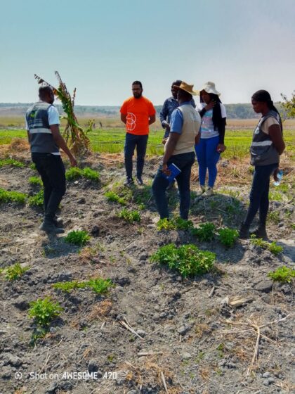 Visita de Constatação à Área de Exploração Agrícola em Caconda