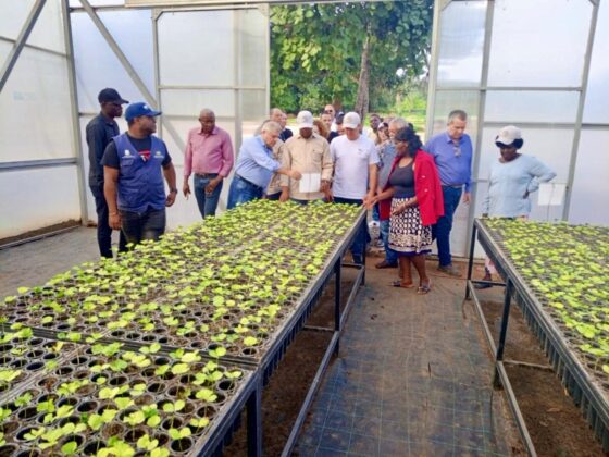 Delegação Brasileira e Governador do Cuanza Norte Visitam o Centro de Produção de Mudas de Café e Perímetros Irrigados com Enfoque na Diversificação da Economia
