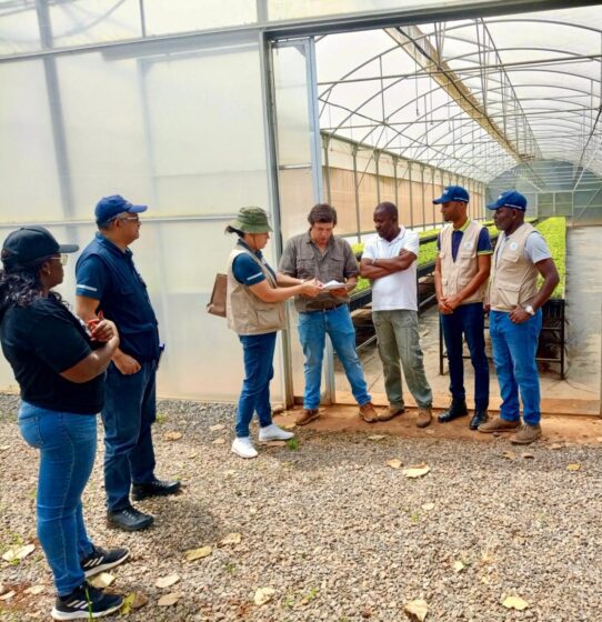 Auto de Recepção Provisória dos Viveiros e Sistema de Irrigação do Centro de Produção de Mudas do Quilombo reforça capacidade produtiva do INCA no Cuanza Norte