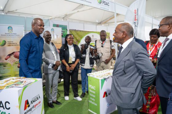 PDAC participa em exposição de produtos florestais organizada pelo MINAGRIF em Luanda.
