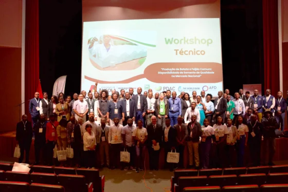 PDAC apoia Workshop Técnico sobre produção de batata e feijão comum no Huambo